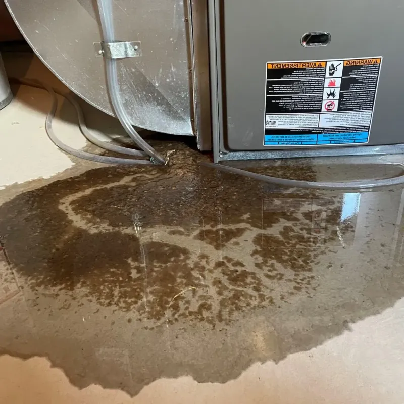 Pipe Burst and Leak Restoration in Putnam County, OH