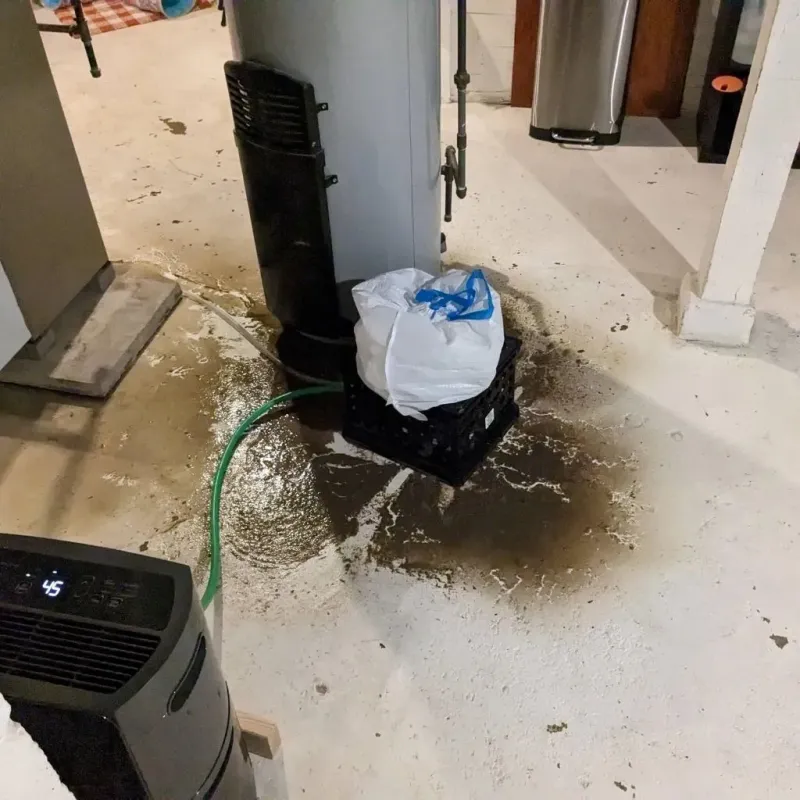 Sewage Backup Cleanup Service in Putnam County, OH